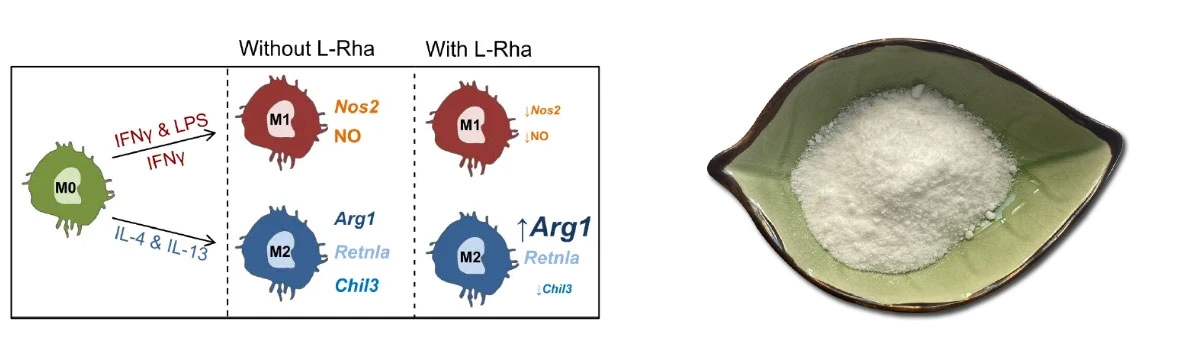 L Rhamnose Monohydrate Offer.jpg